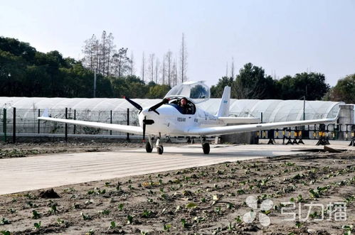 江蘇太倉小型飛機墜落起火有人受傷 飛機屬當地飛行俱樂部
