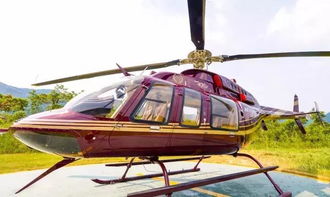 bullauto助力佛山首個直升機基地,落戶順德莘福里森林小鎮(zhèn)