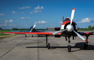 俄兩架私人飛機被劫一架已緊急降落另一架情況不明