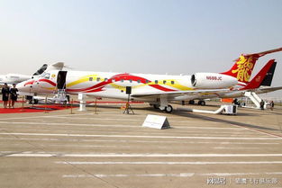 獵鷹飛行俱樂部 有了私照,你就是下一個成功人士