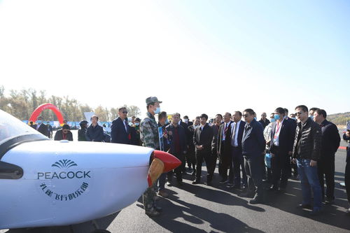 遼寧孔雀飛行俱樂部參加 遼寧省第五屆飛行者大會 活動