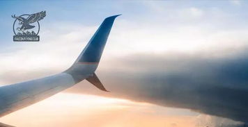 獵鷹飛行俱樂部 開飛機時,機場地面標示知多少