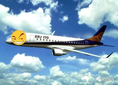 買了公務機,又買噴氣客機,土豪公司竟然用它們來做