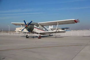 親子游學 探秘飛機制造廠 diy航模 中午品嘗航空午餐