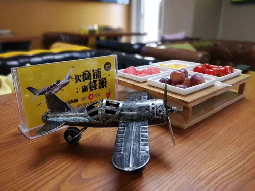 全城矚目 跑車 別墅 飛機,炫酷的私人飛行體驗party