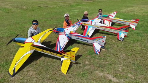 黑石河畔,無人機(jī)航模起飛