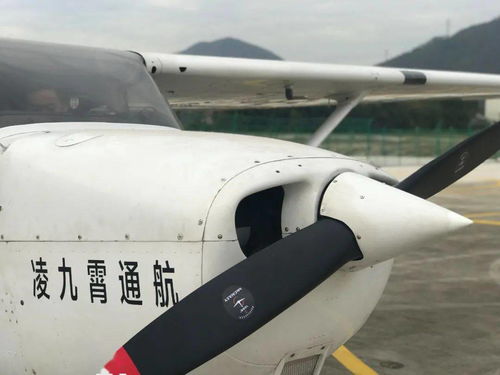 凌九霄航空集團(tuán)簡(jiǎn)介