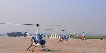 林州航空運(yùn)動(dòng)俱樂部滑翔傘飛行體驗(yàn)基地門票,林州航空運(yùn)動(dòng)俱樂部滑翔傘飛行體驗(yàn)基地門票預(yù)訂,林州航空運(yùn)動(dòng)俱樂部滑翔傘飛行體驗(yàn)基地門票價(jià)格,去哪兒網(wǎng)門票