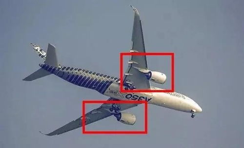 獵鷹飛行俱樂部帶你解鎖,你對飛機機翼的所有疑問,都在這里