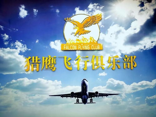 加入獵鷹飛行俱樂部 2021年開啟您的私人飛行時代